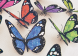 Detailfoto van de vlinders op de opbergbank Farfalla